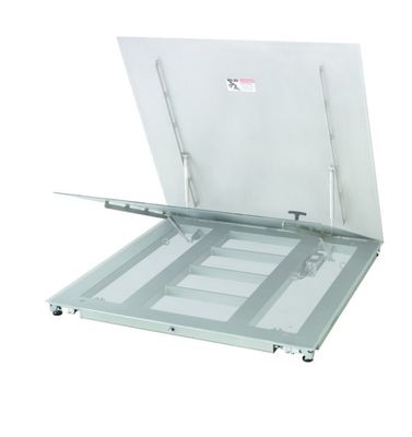 Timbangan Lantai Angkat Industri PFA779lift-DS300A - Platform Tahan Lama dengan Akses Perawatan Mudah